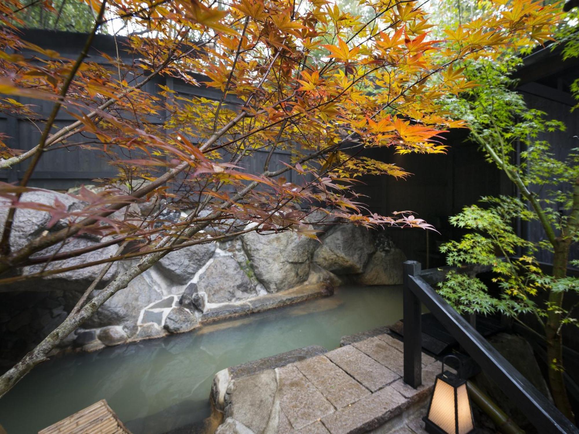 Hikyou Shirakawagensen Sansou Takefue Minamioguni Exterior foto